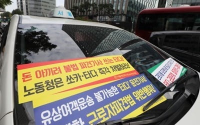 내일 '타다 규탄' 국회 앞 집회…"개인택시기사 1만5000명 참가"