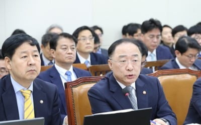 홍남기 "WTO 개도국 지위 조만간 결정…상응조치 감내해야"