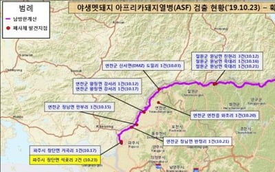 파주 멧돼지 폐사체서 또 돼지열병 바이러스…14번째 검출