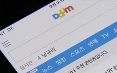 포털 다음, 연예 뉴스 댓글 잠정 폐지…"인격 모독 심각"