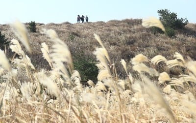 [날씨] 내일 아침 곳곳 영하권…올가을 들어 가장 추워