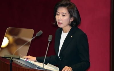 나경원 "12월3일 檢개혁법 부의도 법에 어긋나는 해석"