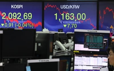 '美 FOMC 대기' 코스피 나흘만에 하락…2090대 약보합