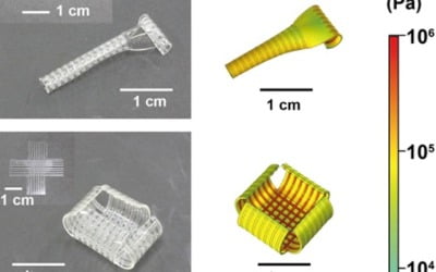 국내 연구진, 3차원 형태 자동변형 가능 전자소자 개발…생체로봇 등에 활용