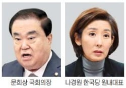 與 "한국당, 선진화법 개정 요구"…나경원 "문 의장이 먼저 제안한 것"