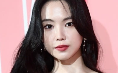 손나은 악플러 선처 "S대 법대 출신에 정신질환 앓아…용서하기로" [공식입장]