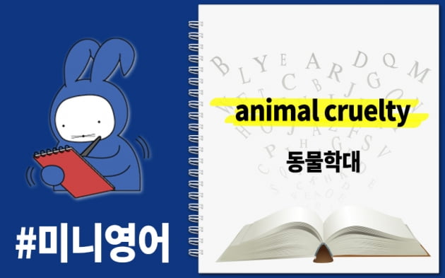 [오디오래빗] 미국은 7년 한국은 벌금? #동물학대 영어로 뭐게