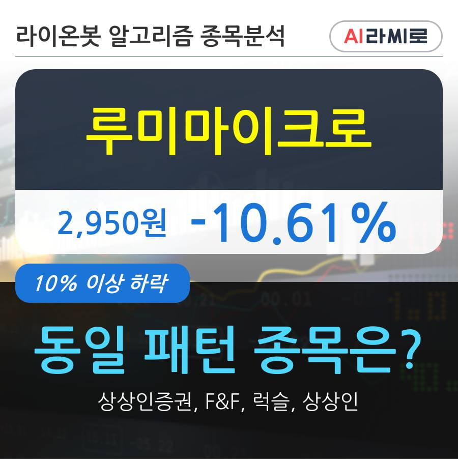 루미마이크로