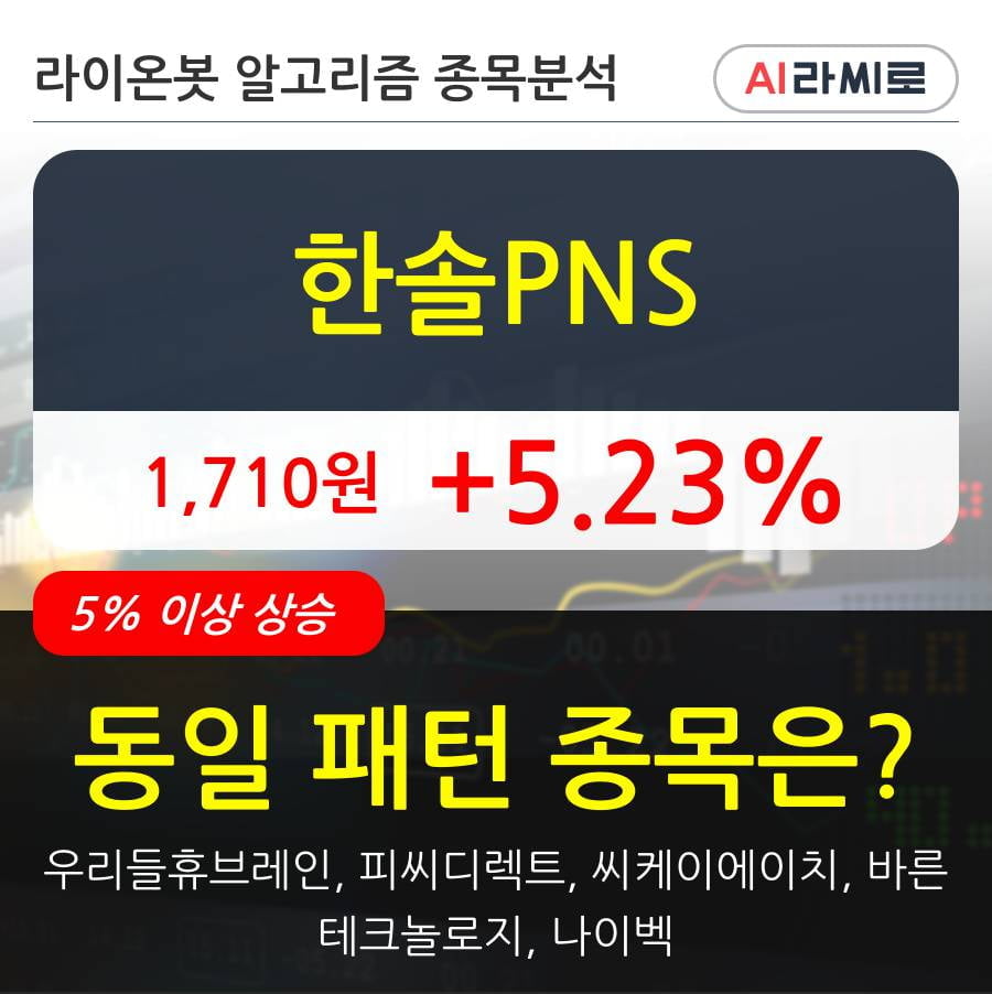 한솔PNS