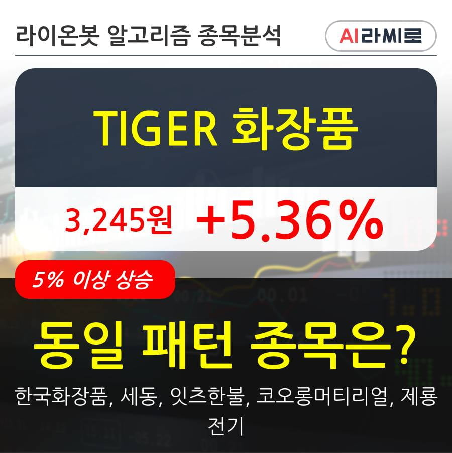 TIGER 화장품