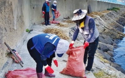 절반밖에 못쓴 '바다환경 지킴이' 예산 8억→66억…野 "세금 낭비"