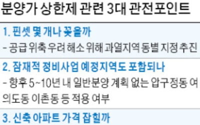 '상한제 핀셋' 몇 곳 지정될까…광명·과천도 가능성