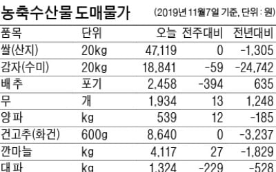  출하량 늘어 감자 값↓