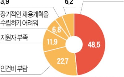 파격 연봉에 억대 보너스…AI 개발자 '부르는 게 값'