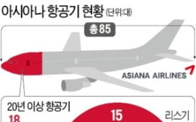 "로고 변경·社名 교체 검토…노후 항공기도 모두 바꿀 것"