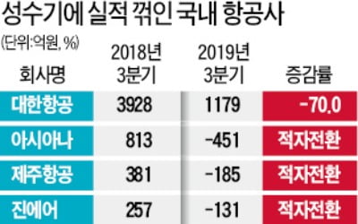 성수기마저 적자 낸 항공사들…내년도 '먹구름'