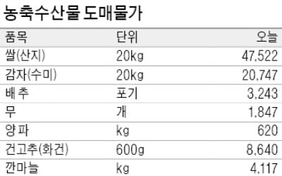 김장철 수요 몰려…굴값 10% 올라