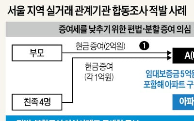 부모·친척 등에게 6억 분할 증여받아 11억 아파트 산 미성년자 '딱 걸렸네'