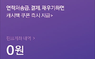 오픈뱅킹, 핀테크社 확대…무제한 무료송금 '핀크' 뜬다