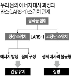 "별로 먹지도 않는데 살찌면…'라스1 스위치' 고장난 것"