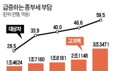 종부세 고지액 3.3兆…작년보다 58% 급증