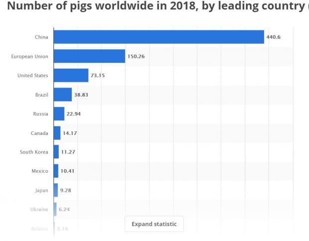 세계 돼지 사육두수