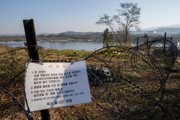 경기도 연천군 임진강변에 아프리카돼지열병(ASF) 확산 방지와 야생멧돼지 이동을 막기 위한 철조망이 세워져 있다. /연합뉴스.