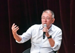 현대차의 또 다른 도전, 수직 이착륙 가능한 '플라잉카' 만든다
