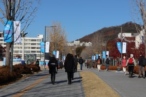 올해는 인턴에 대한 관심도 ↑… 연세대 '스타트업 채용박람회'