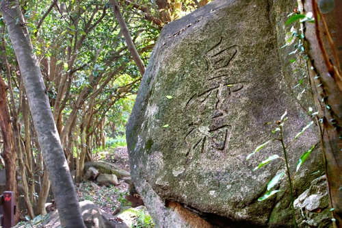 [문화유산] 다산(茶山)도 반한 은자(隱者)의 숲속 별장