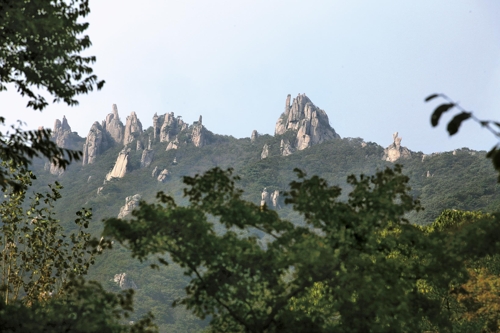 [문화유산] 다산(茶山)도 반한 은자(隱者)의 숲속 별장