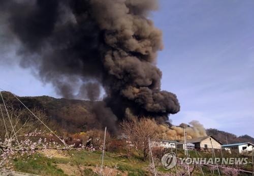 전북 정읍 돈사에 불…돼지 1천400마리 폐사