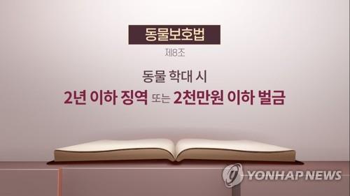 솜방망이 처벌에 동물학대 계속…'토순이 사건'으로 거센 비판