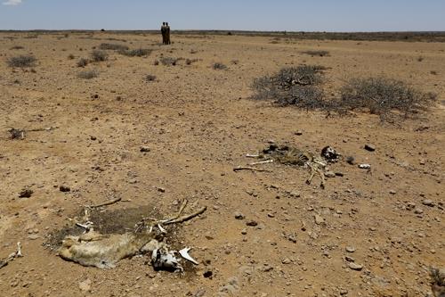 남아프리카 수십 년만의 가뭄…빅토리아 폭포 유량 사상 최소