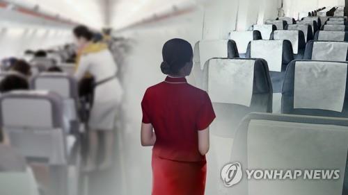 필리핀행 여객기서 승무원 성추행한 30대 러시아인 입건