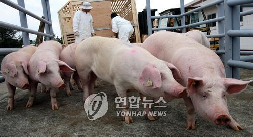 제주 축산분뇨 유출지역 지하수 수질개선 사업 추진