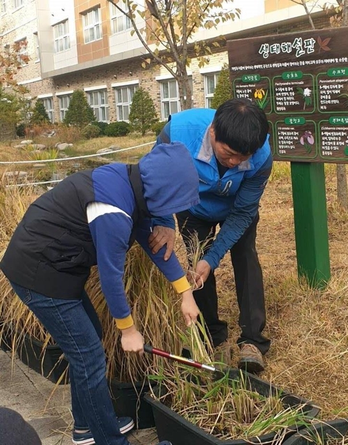 "우리가 심고 기른 벼 직접 수확하며 농부의 땀 느꼈어요"