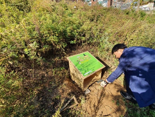 "길냥이를 부탁해" 춘천시, 길고양이 급식소 시범 운영