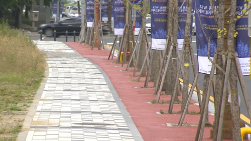 김찬술 대전시의원 "자전거 도로 가운데에 가로수 식재" 질타