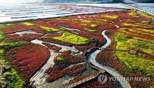 철새보호·갯벌보전…전남 신안서 11~13일 국제철새심포지엄