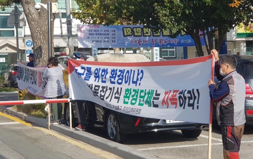 [현장 in] 보존이냐 개발이냐…낙동강 대저대교 갈등 증폭