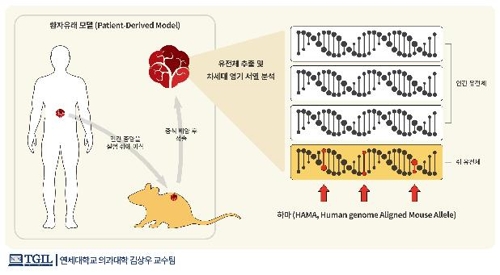 "암세포 유전체 분석 정확도 58% 더 높이는 검사법 개발"