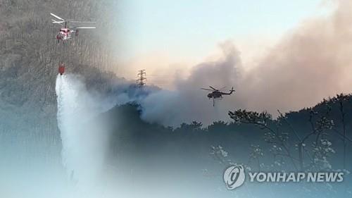 충남 보령 잔미산서 불…두 시간째 진화 중