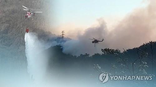 충남 보령 산불 임야 0.1㏊ 태우고 진화(종합)