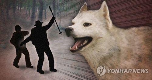 '출동 안할 수도 없고'…개 관련 신고 증가에 일선경찰 '난감'