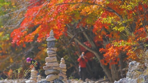 낙원으로 향하는 동행…EBS '가을산 표류기'