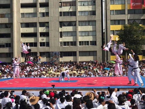 '태권도 전파 반세기' 멕시코서 울려 퍼진 태권 함성