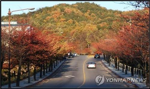 왕건 발자취 따라 팔공산 일대 자전거길 만든다…내년 완공