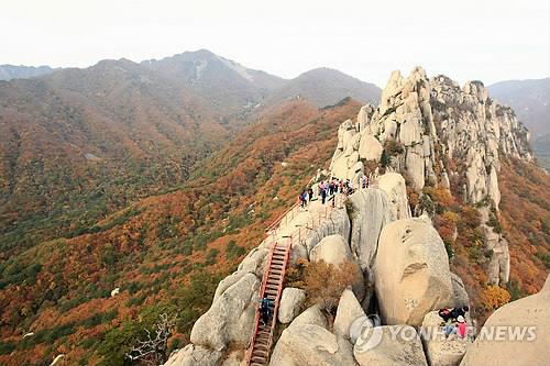 설악산 안양암∼울산바위 정비공사로 통제