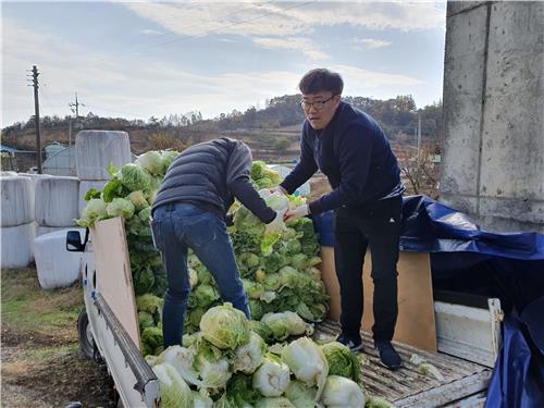 "어려웃 이웃에 도움 됐으면"…4년째 배추 기부하는 농민